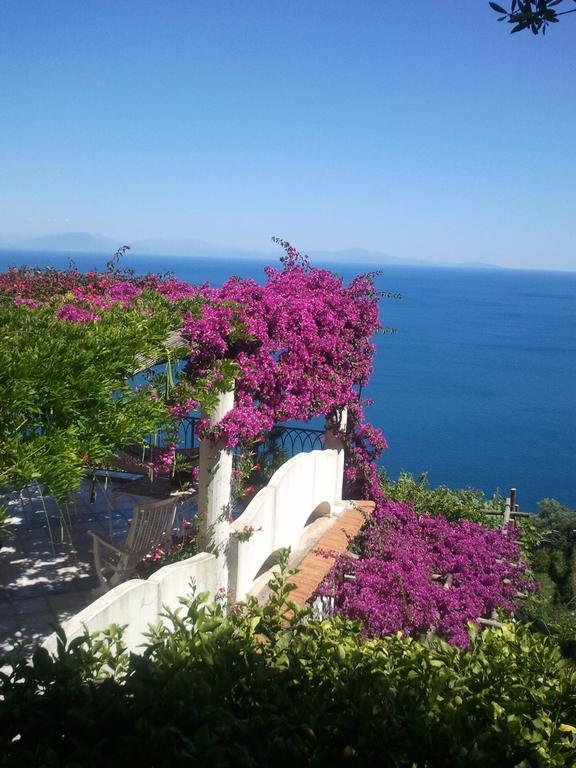 B&B I Limoni Ravello Exterior foto