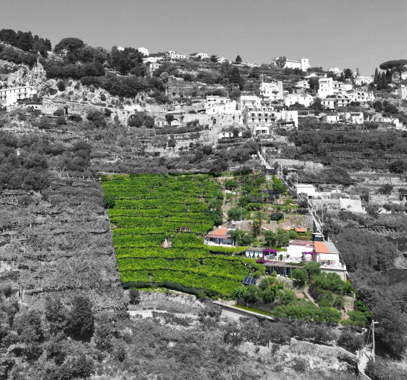 B&B I Limoni Ravello Exterior foto